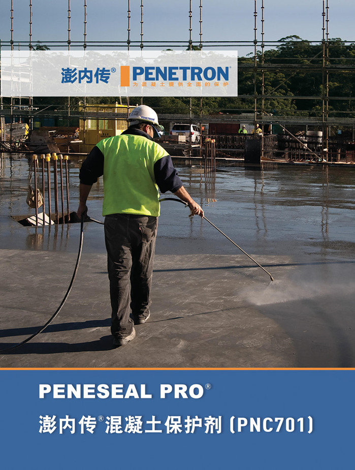 澎內(nèi)傳混凝土保護(hù)劑(PNC701)